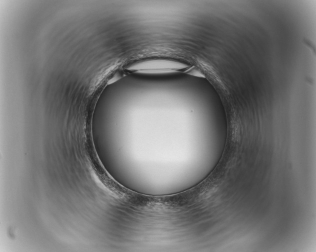 X0000099560538200805301543