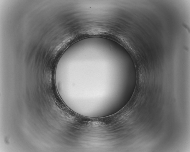 X0000099560539200805301543