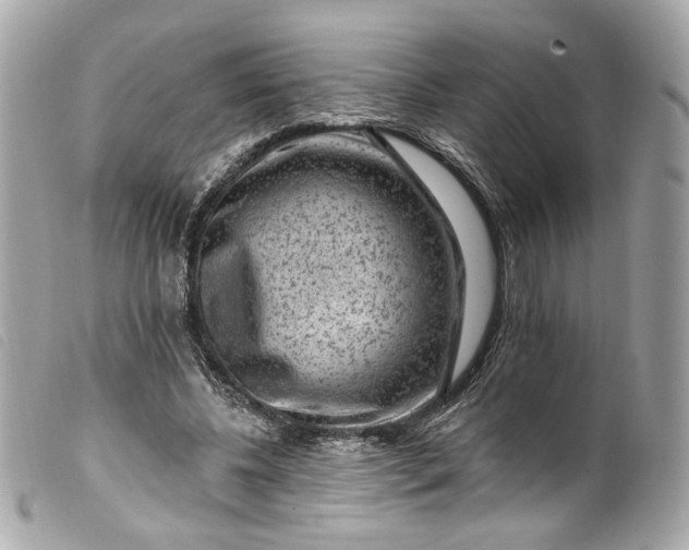 X0000099560540200805301543