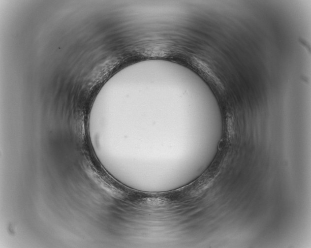 X0000099560541200805301543