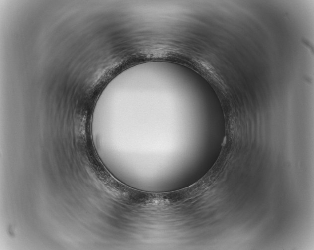 X0000099560543200805301543