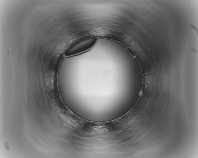 X0000099560544200805301543