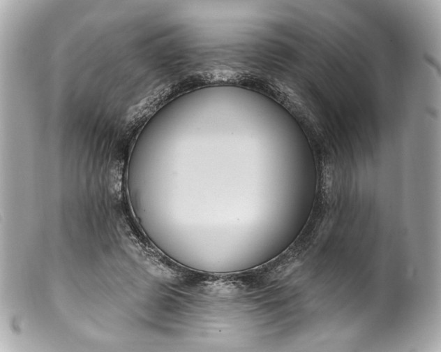 X0000099560545200805301543