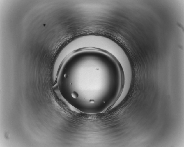 X0000099560546200805301543