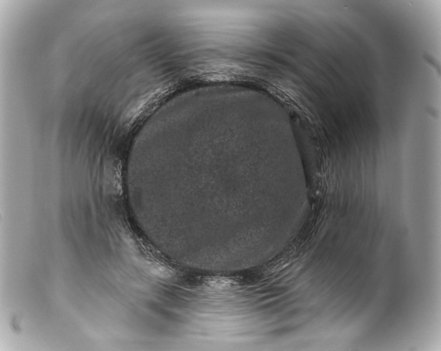 X0000099560547200805301543