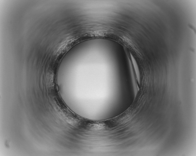 X0000099560548200805301543