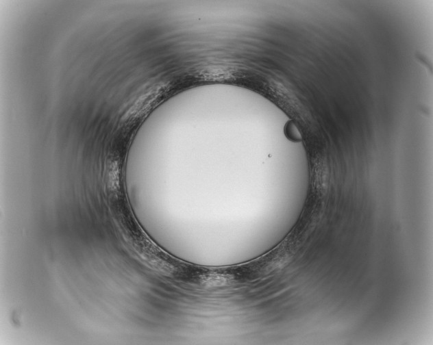 X0000099560549200805301543