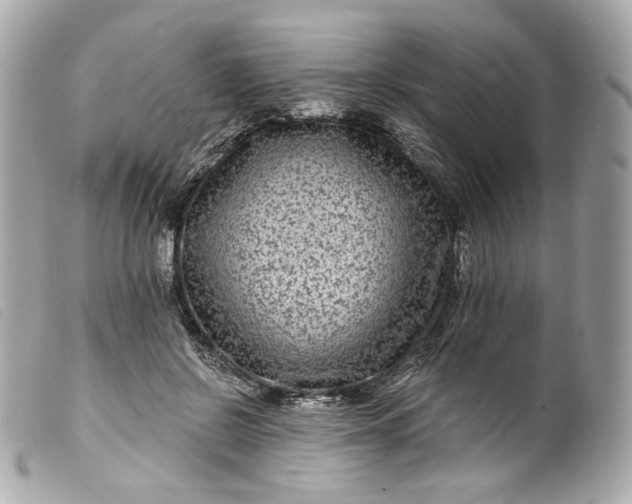 X0000099560550200805301543