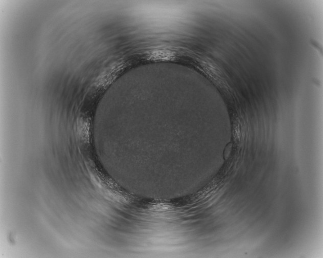 X0000099560551200805301543