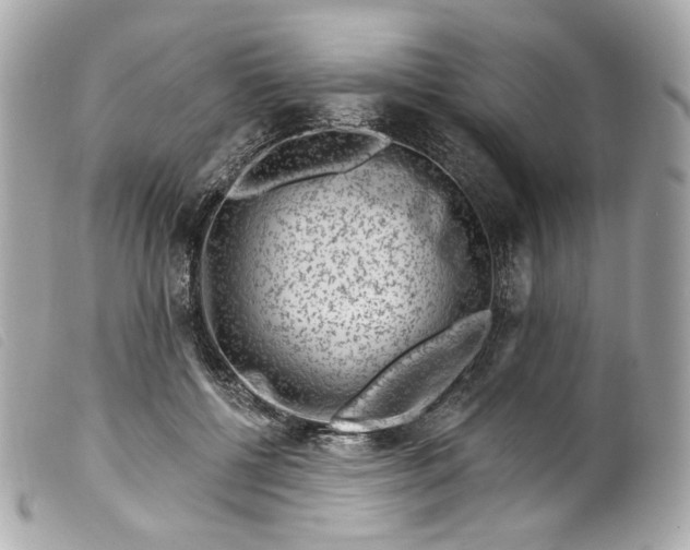 X0000099560552200805301543