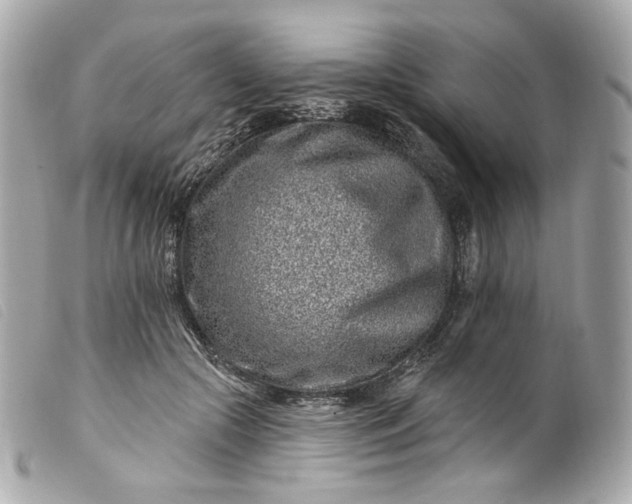 X0000099560553200805301543