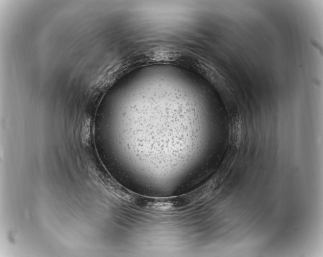 X0000099560554200805301543