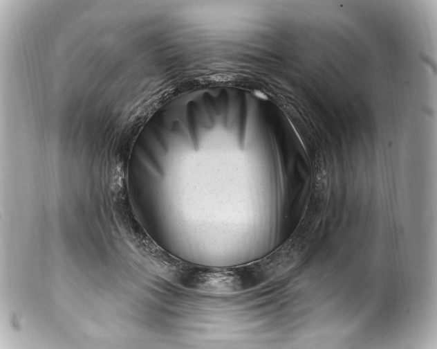 X0000099560555200805301543