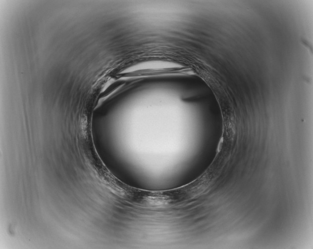 X0000099560556200805301543