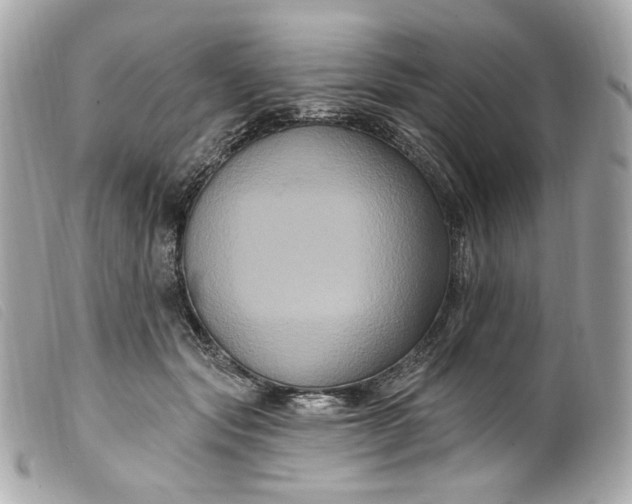 X0000099560557200805301543