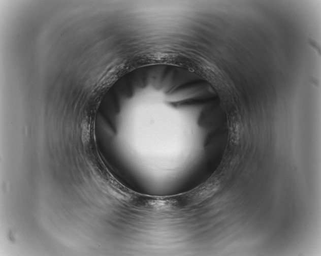 X0000099560558200805301543