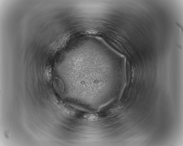 X0000099560559200805301543