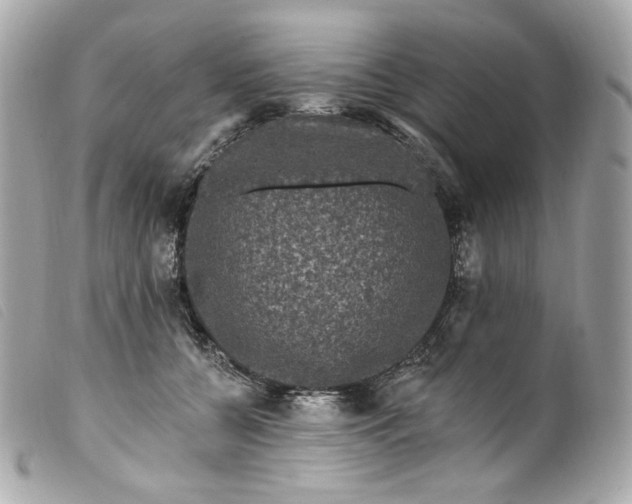 X0000099560560200805301543