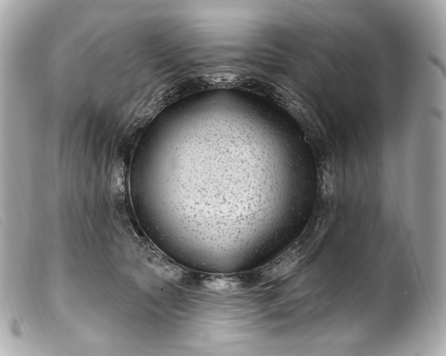 X0000099560561200805301543