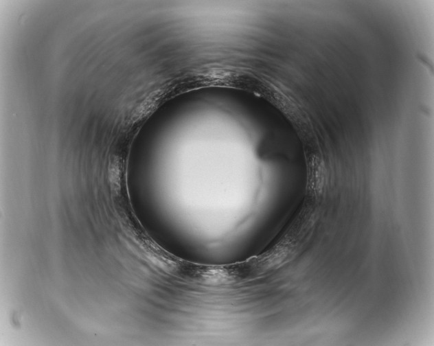 X0000099560562200805301543