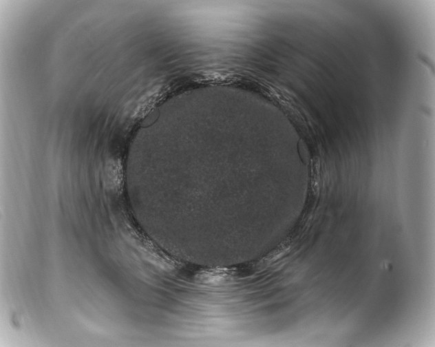 X0000099560563200805301543