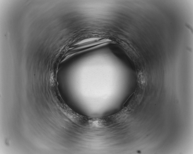 X0000099560564200805301543