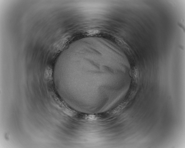 X0000099560565200805301543