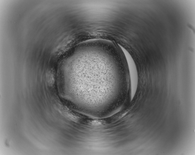 X0000099560566200805301544