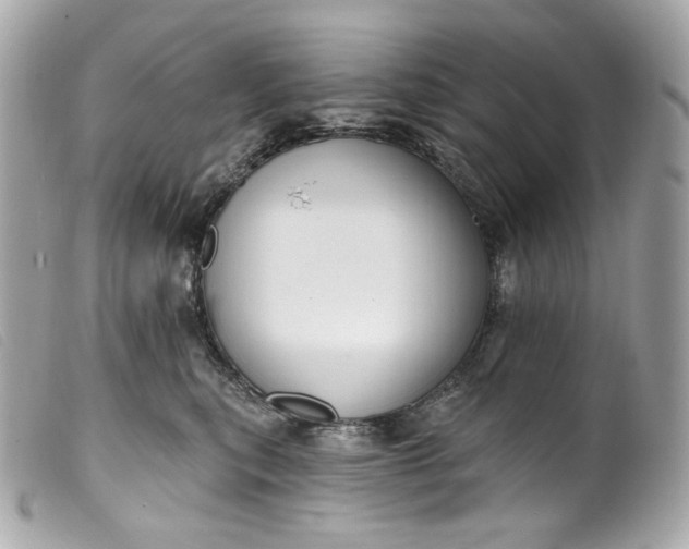 X0000099560567200805301544