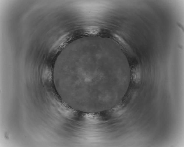 X0000099560568200805301544