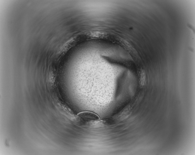 X0000099560569200805301544