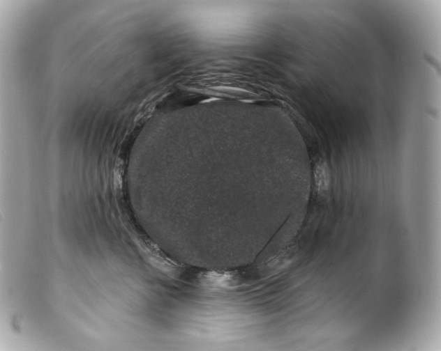 X0000099560570200805301544