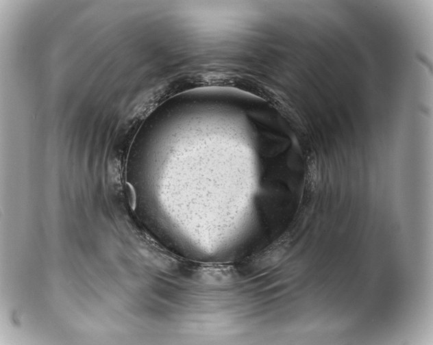 X0000099560571200805301544