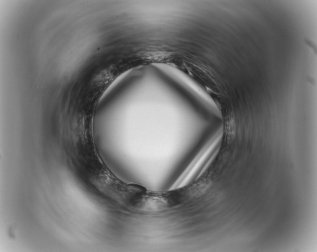 X0000099560572200805301544