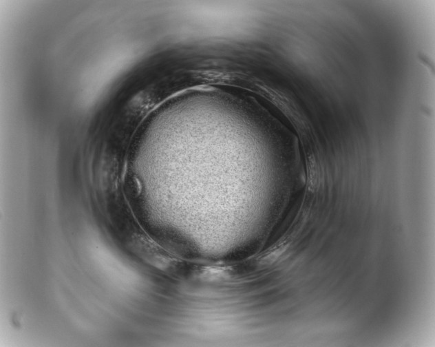 X0000099560573200805301544