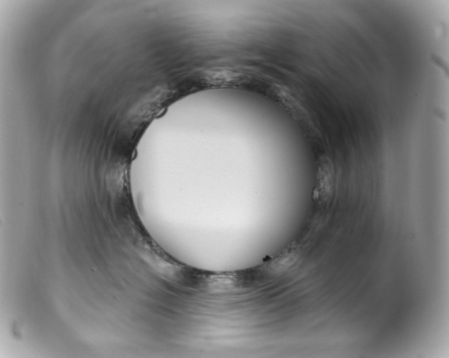 X0000099560574200805301544