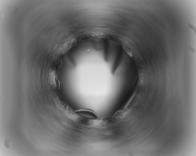 X0000099560575200805301544