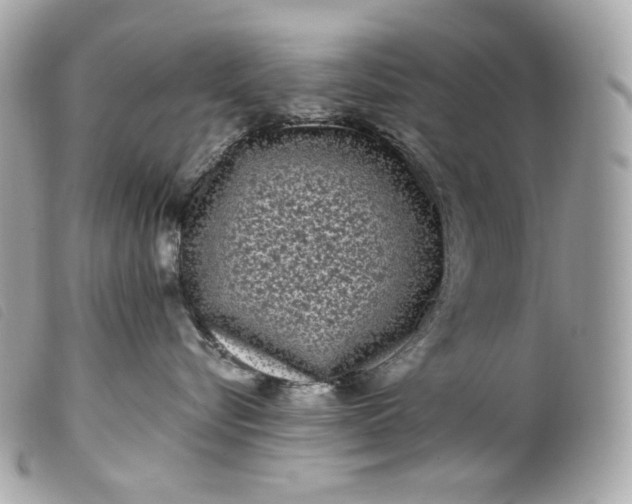 X0000099560576200805301544