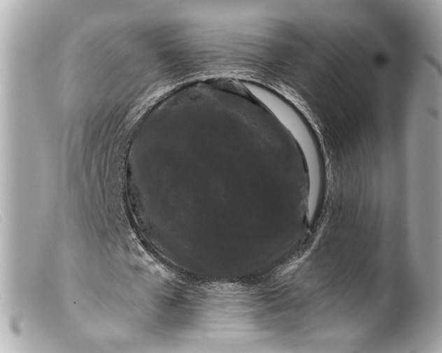 X0000099560577200805301543