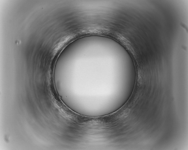 X0000099560578200805301543