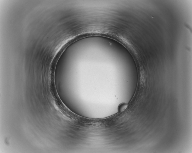 X0000099560580200805301543