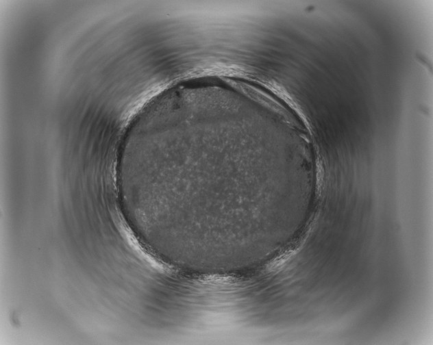 X0000099560581200805301543