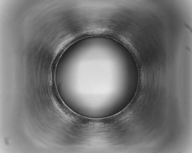 X0000099560582200805301543