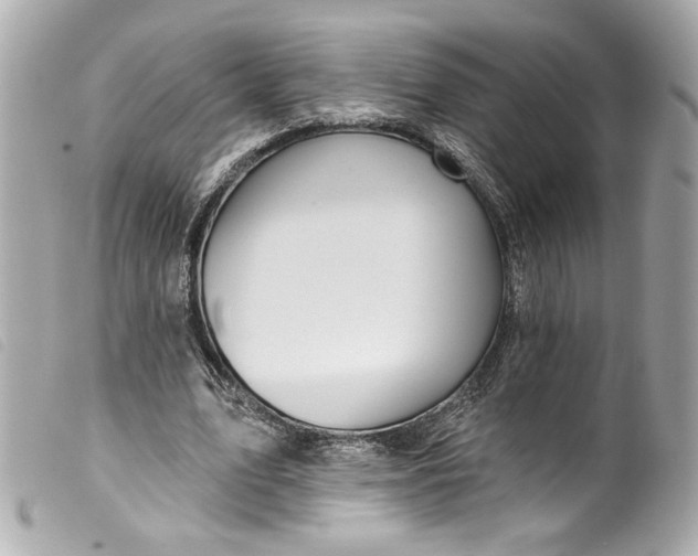 X0000099560583200805301543