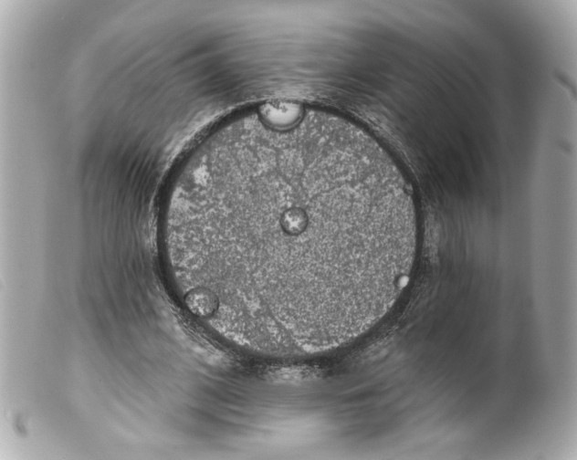 X0000099560584200805301543