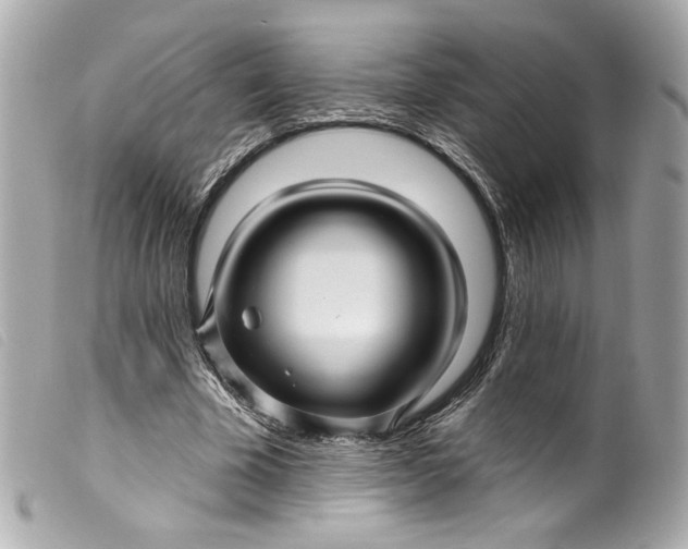 X0000099560585200805301543