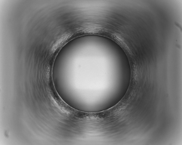 X0000099560586200805301543