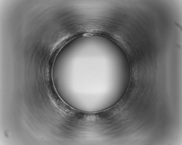 X0000099560587200805301543