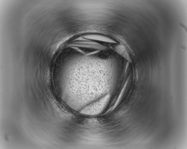 X0000099560588200805301543