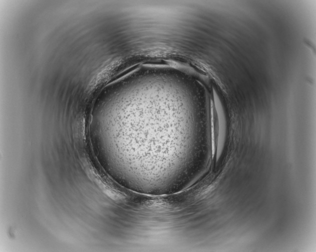 X0000099560589200805301543